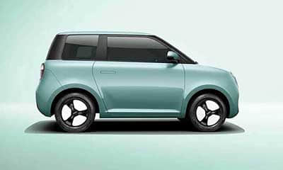 降价两周复盘，比亚迪秦狂欢，零跑、哪吒风中凌乱