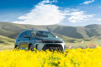 坦克700 Hi4-T开启预售3天订单突破3128台