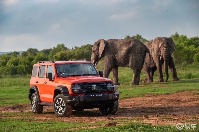 长城坦克300驰骋“彩虹之国” 开辟南非市场越野新品类 长城坦克300驰骋“彩虹之国” 开辟南非市场越野新品类